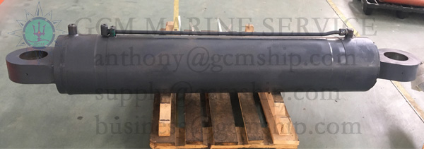 Hydraulic cylinder(图10)